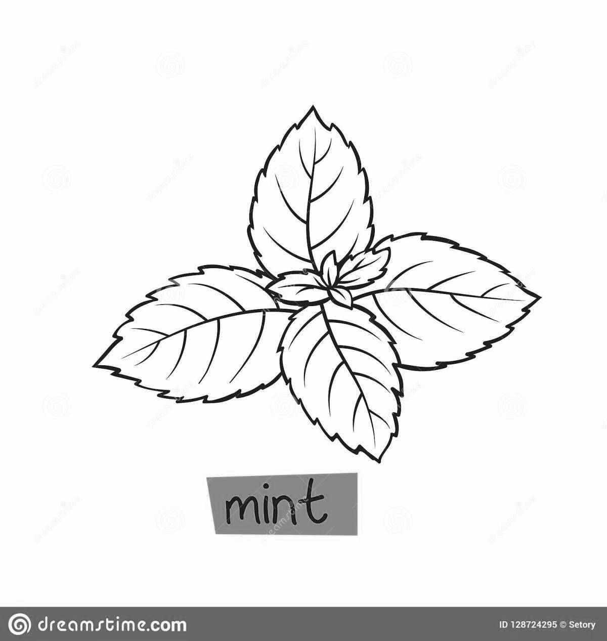 Mint bright coloring