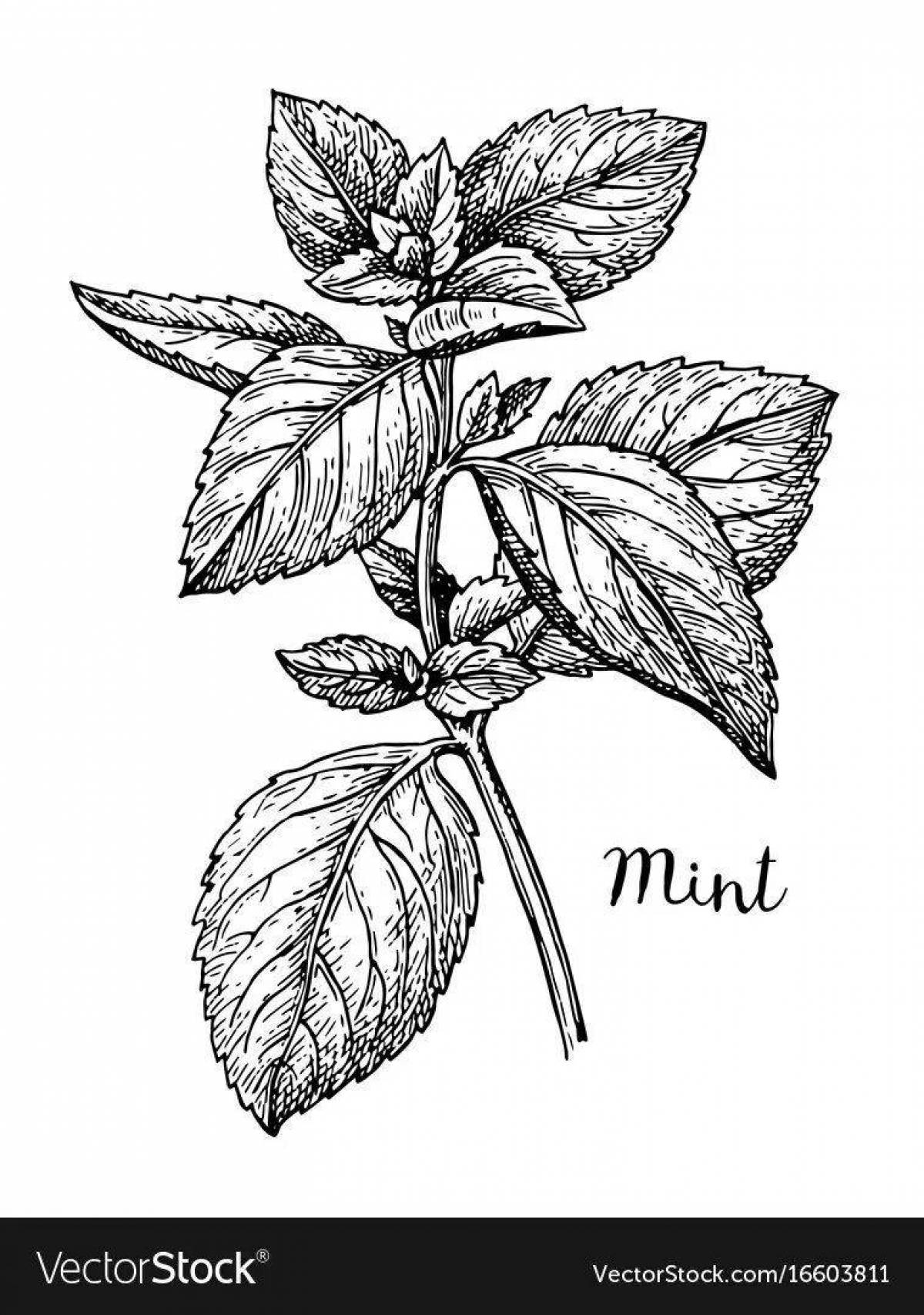 Luminous coloring mint