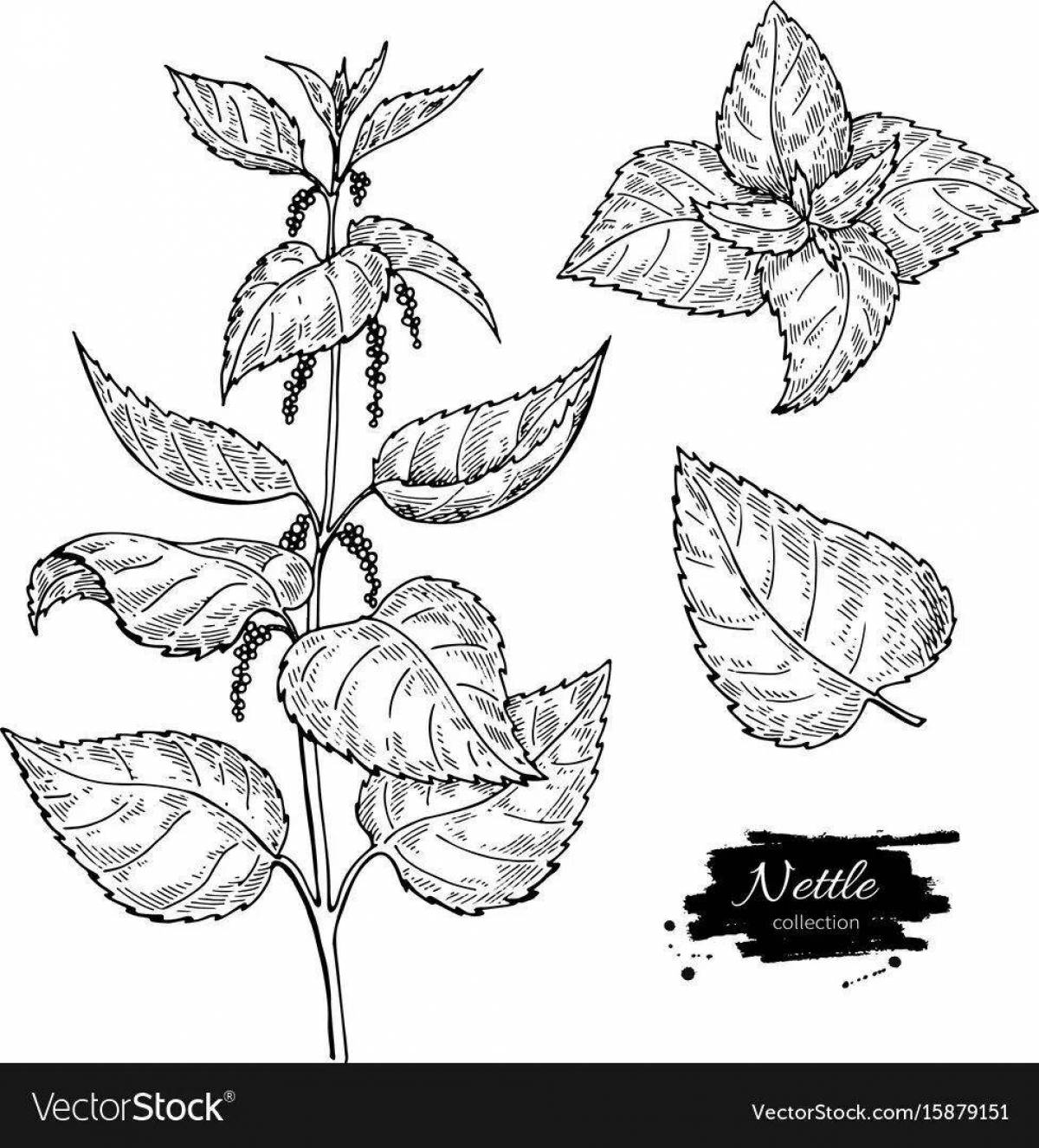 Animated coloring mint