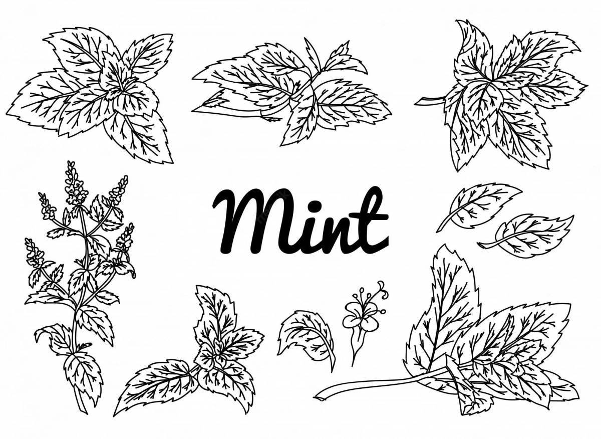 Amazing mint coloring book