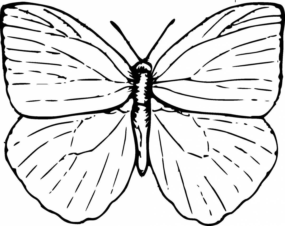 Playful butterfly coloring page