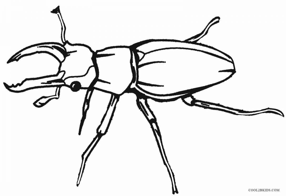 Bug with playful coloring pages