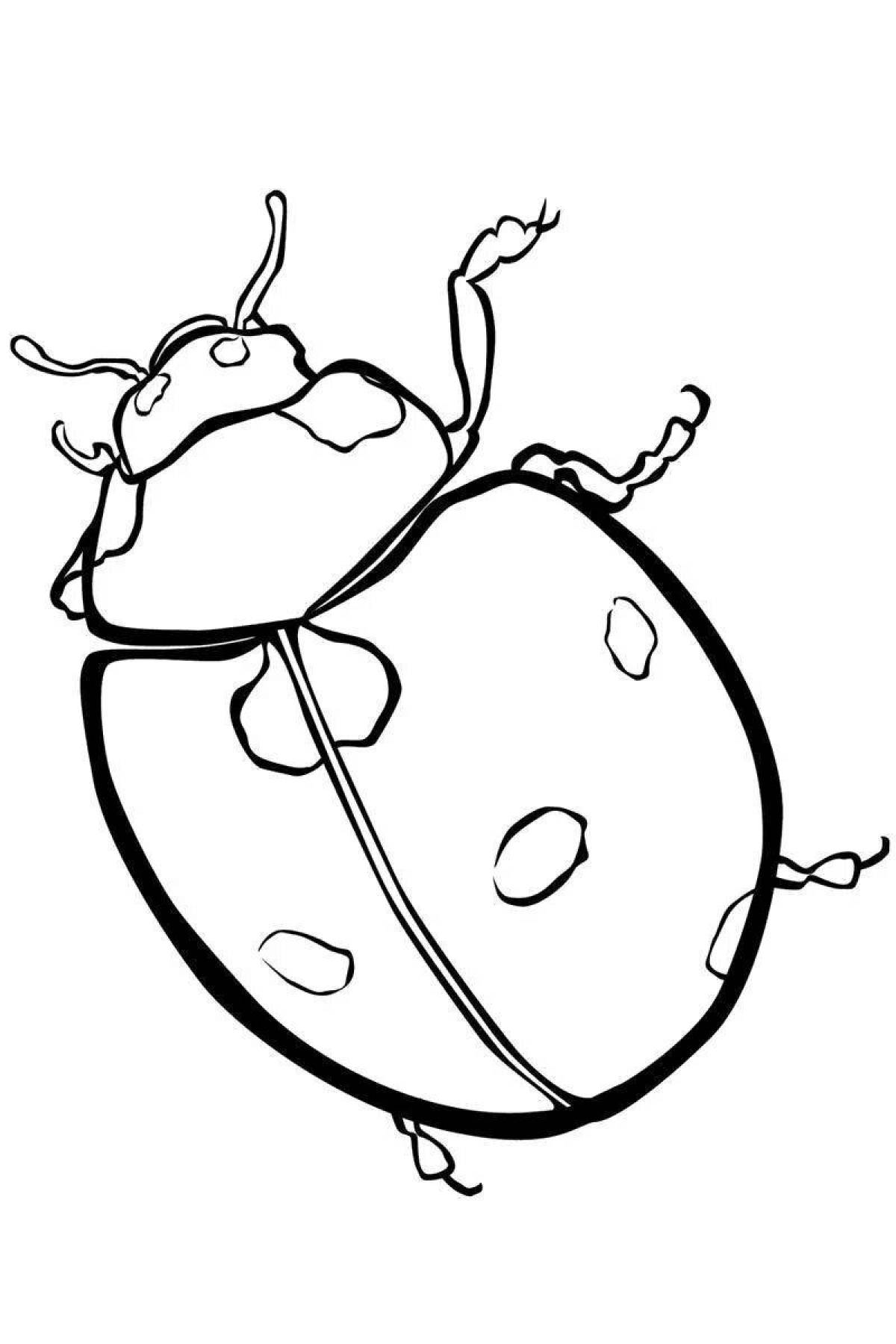 Cute coloring page bug