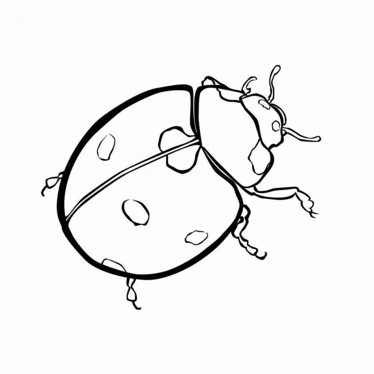 Sweet coloring page bug