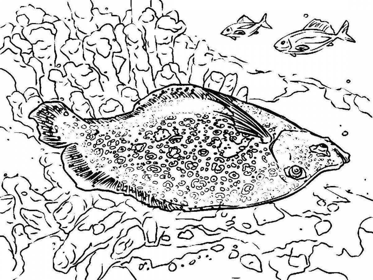 Luminous coloring flounder