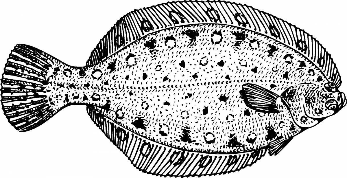 Flounder #2