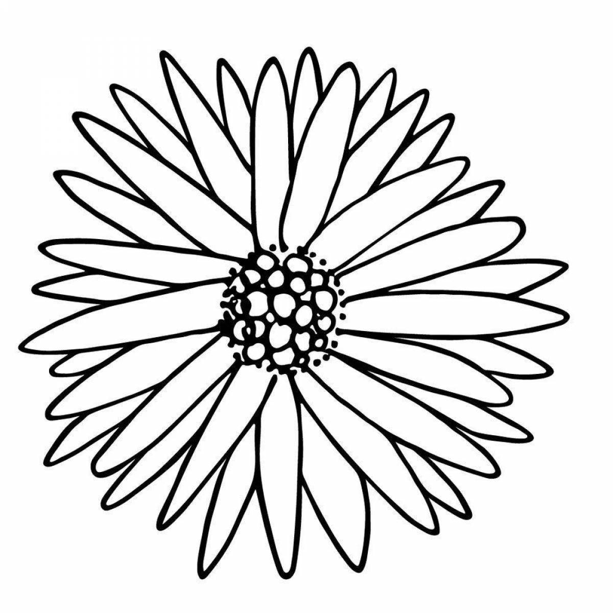 Adorable dahlia coloring page