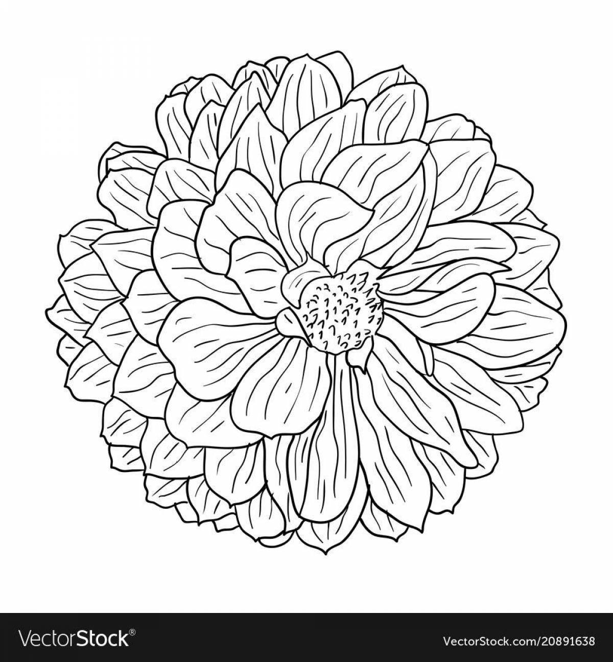 Coloring page joyful dahlia