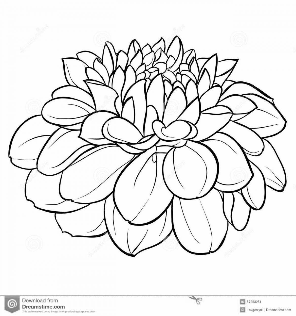 Playful dahlia coloring page