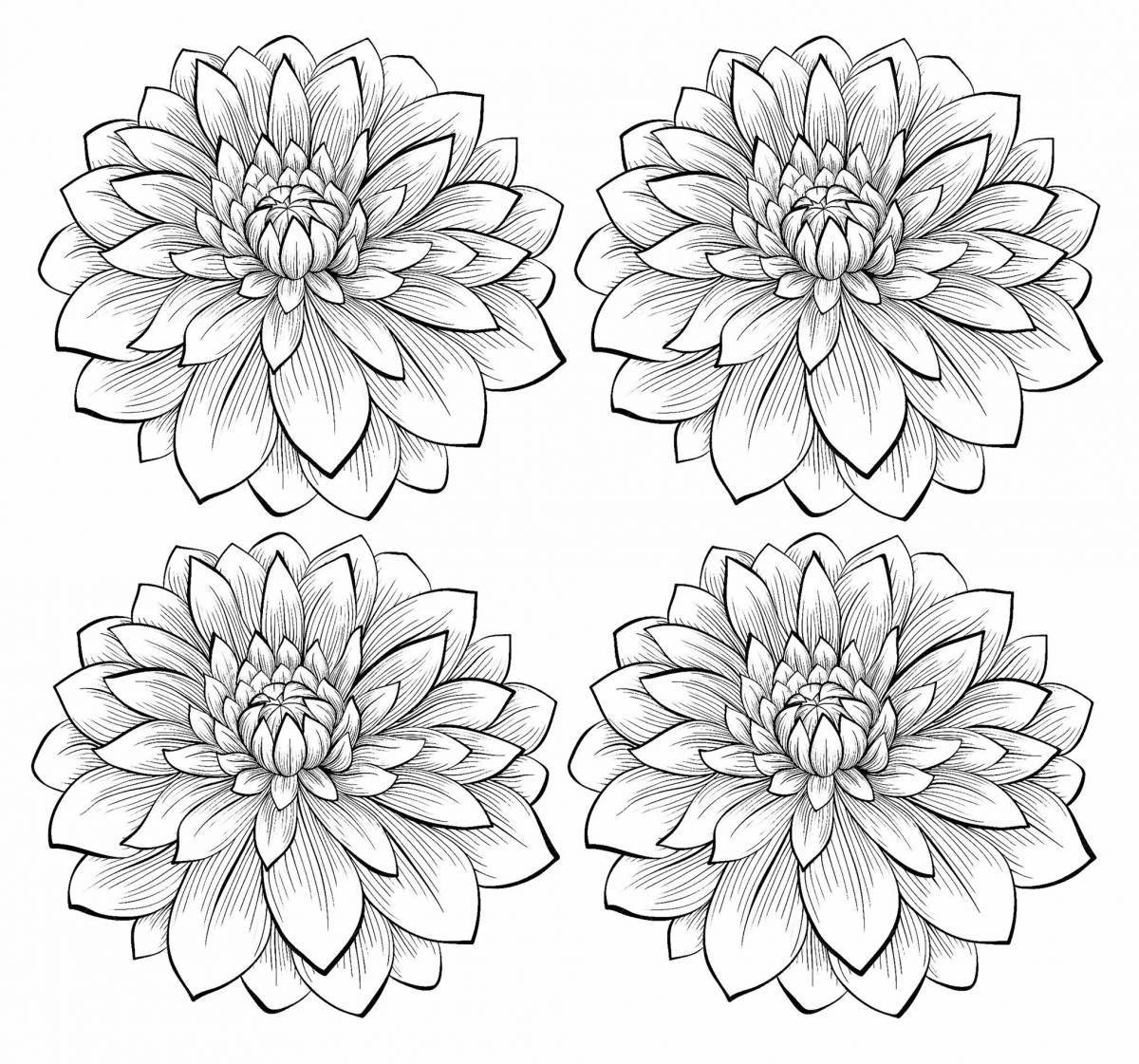 Coloring elegant dahlia