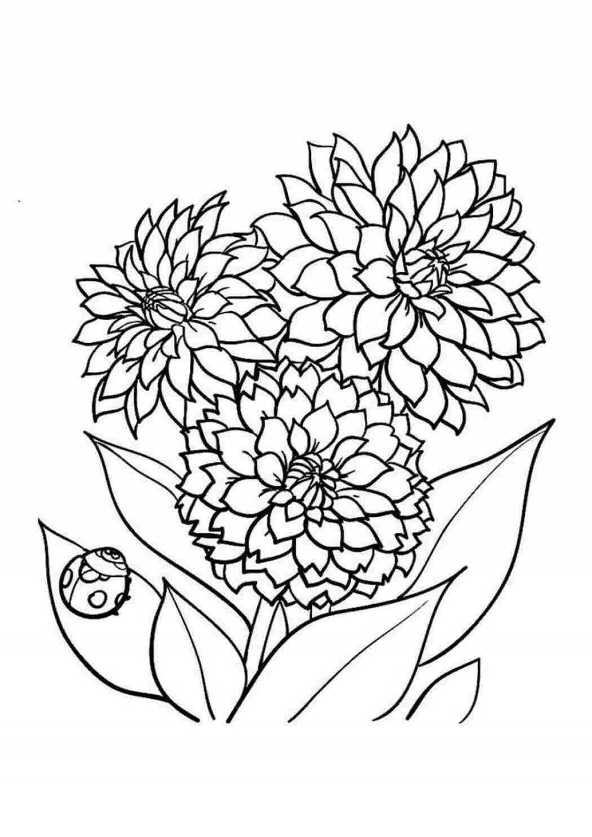 Coloring page graceful dahlia