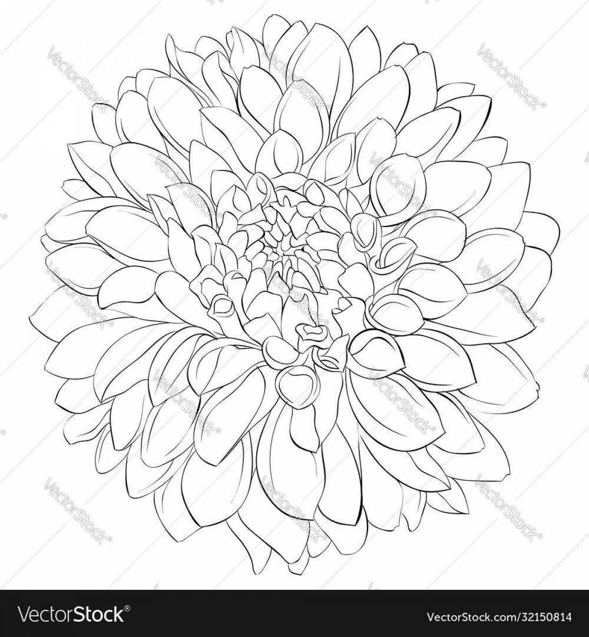 Happy dahlia coloring page