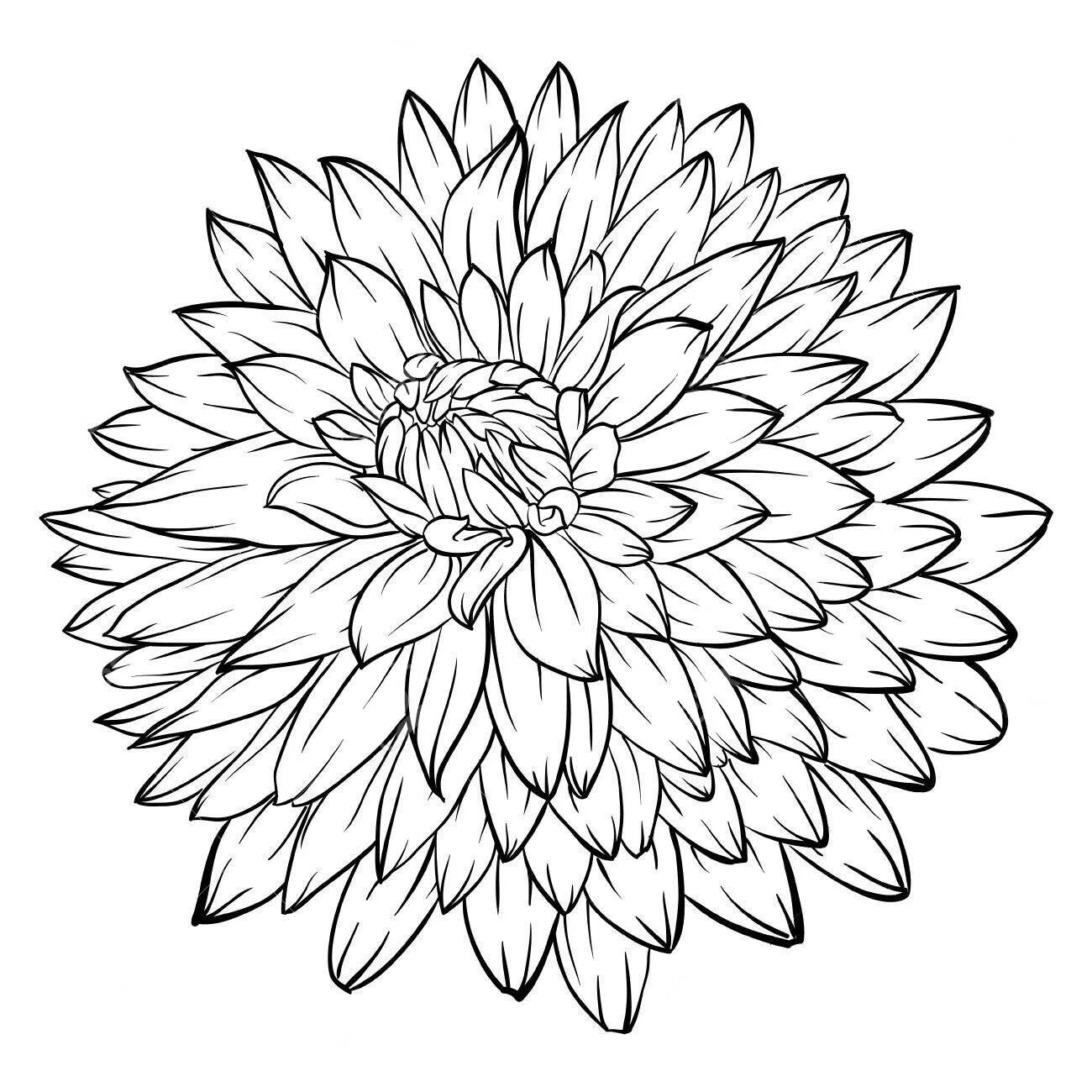 Unique dahlia coloring page