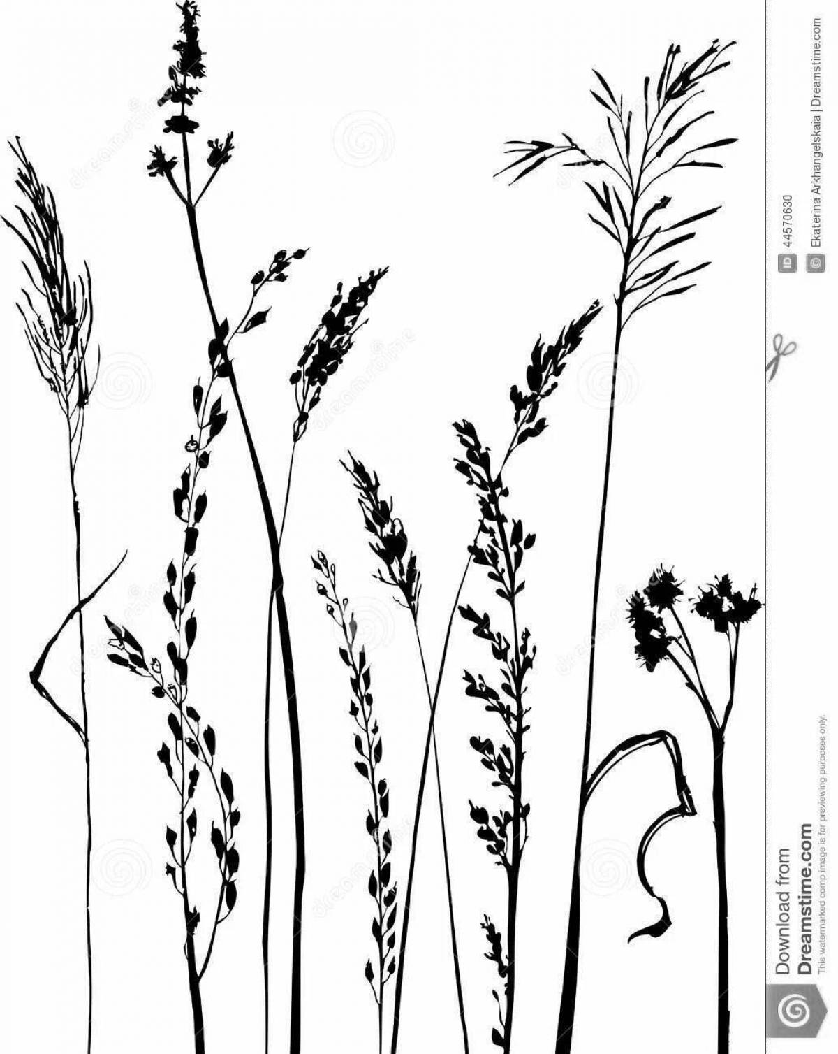 Coloring page cheerful feather grass