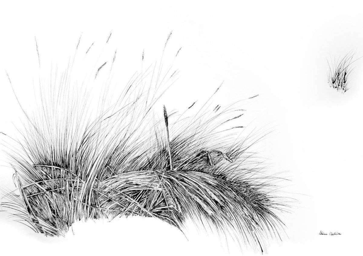 Coloring playful feather grass