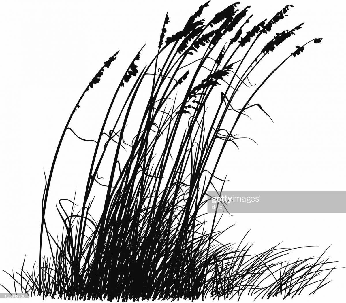 Fun coloring feather grass