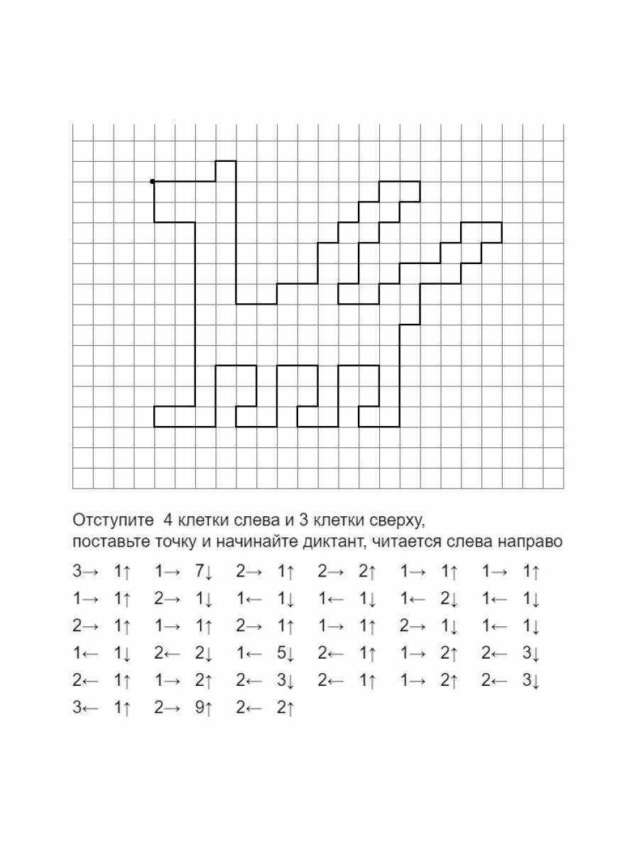 графический диктант петух