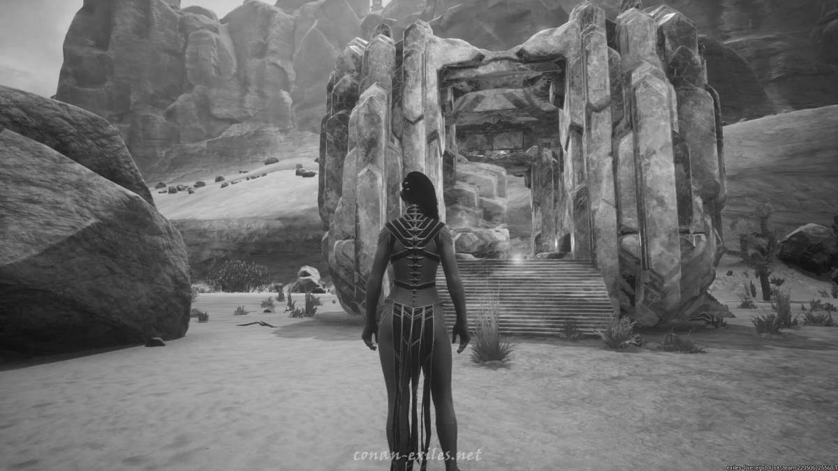 Photo Attractive conan exile coloring page