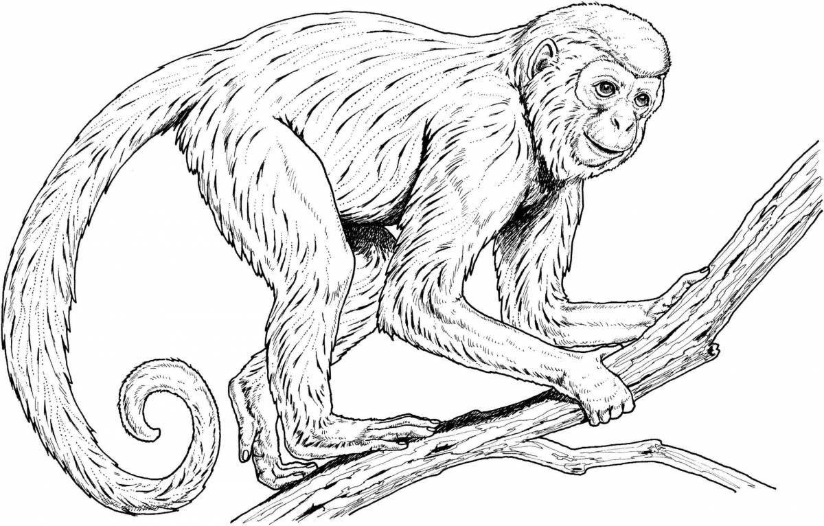 Захватывающая страница раскраски фигурки обезьяны