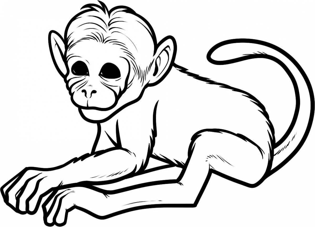 Coloring page dazzling monkey
