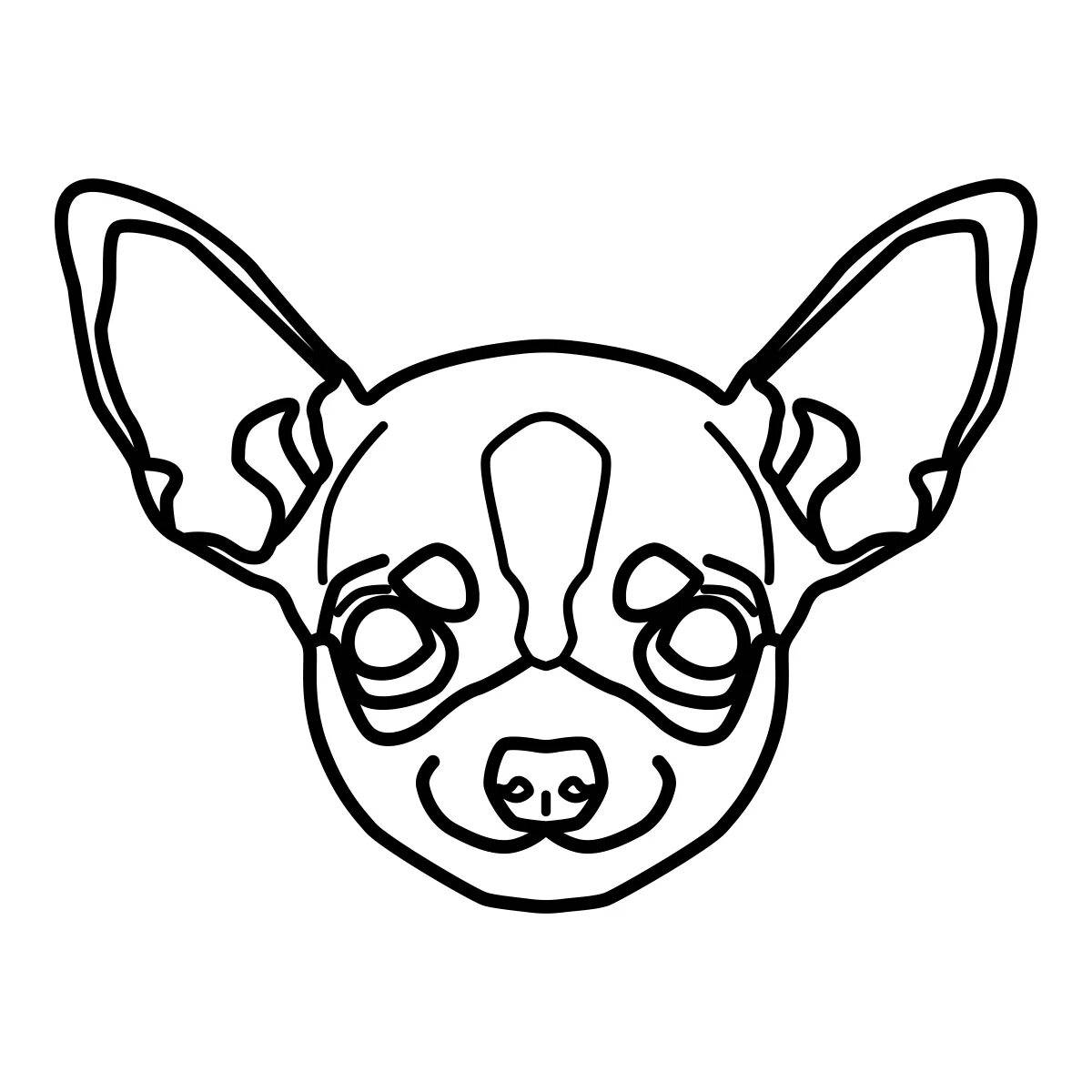 Раскраска Чихуа хуа #7