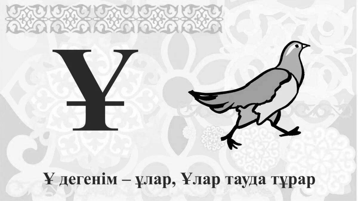 Dazzling aripter Kazakhsha coloring