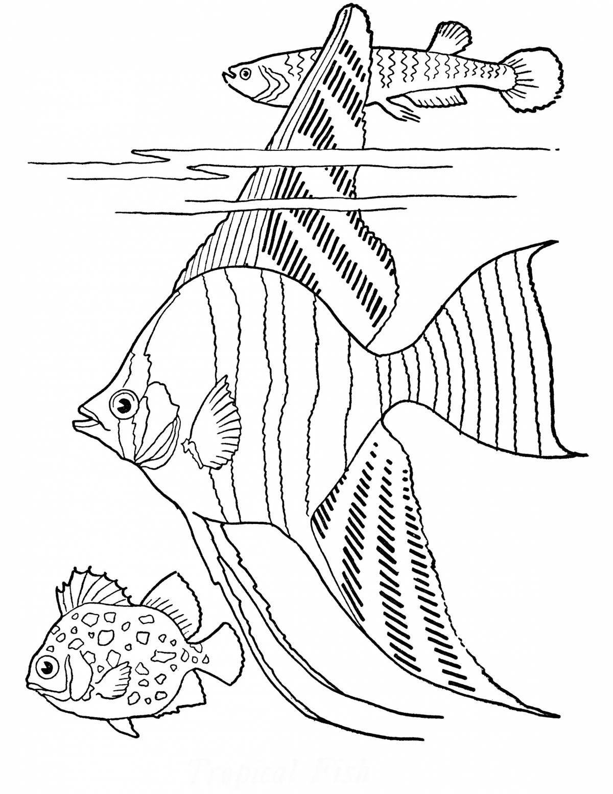 Amazing AquariumDagy balyktar coloring book