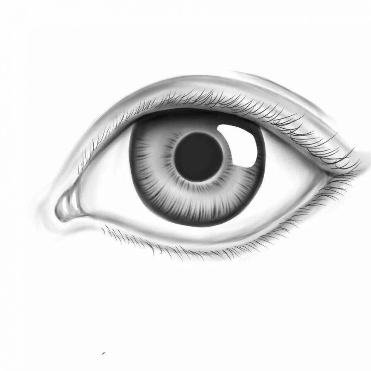 Coloring page of the human eye for vision training