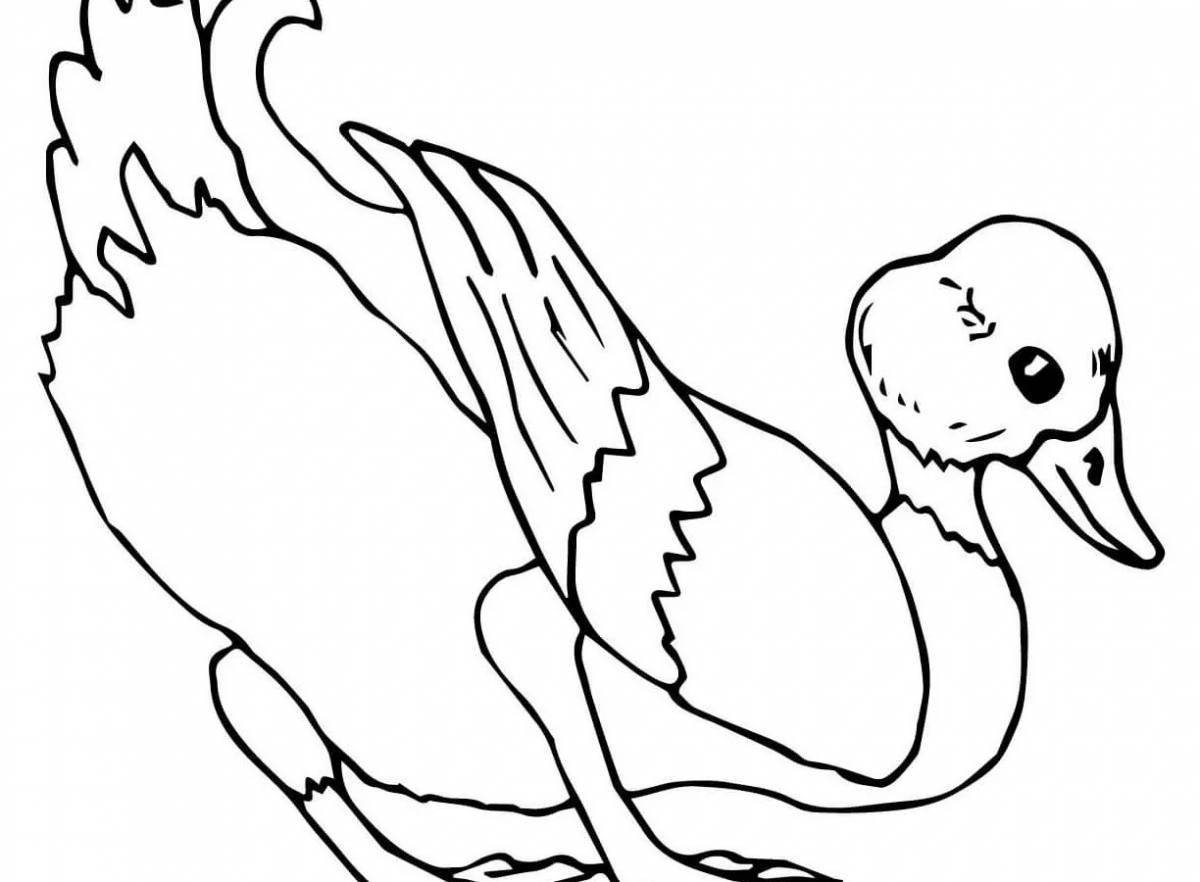 Coloring book bright lalafo duck