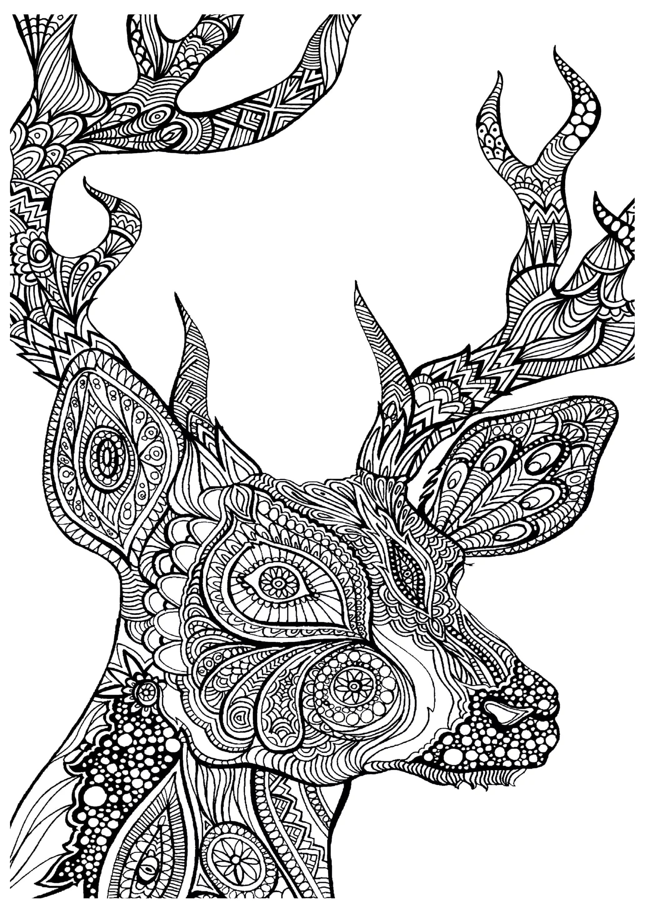 Playful animal coloring page with pattern
