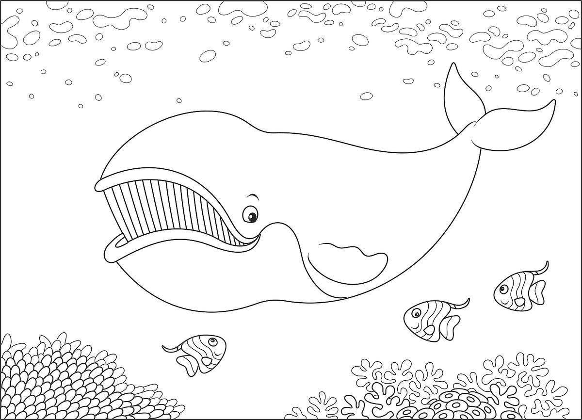 Coloring book rainbow bowhead whale