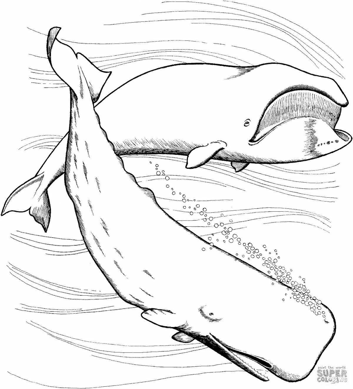 Потрясающая страница раскраски гренландского кита