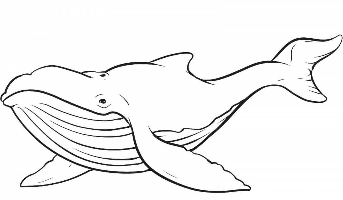 Amazing bowhead whale coloring page