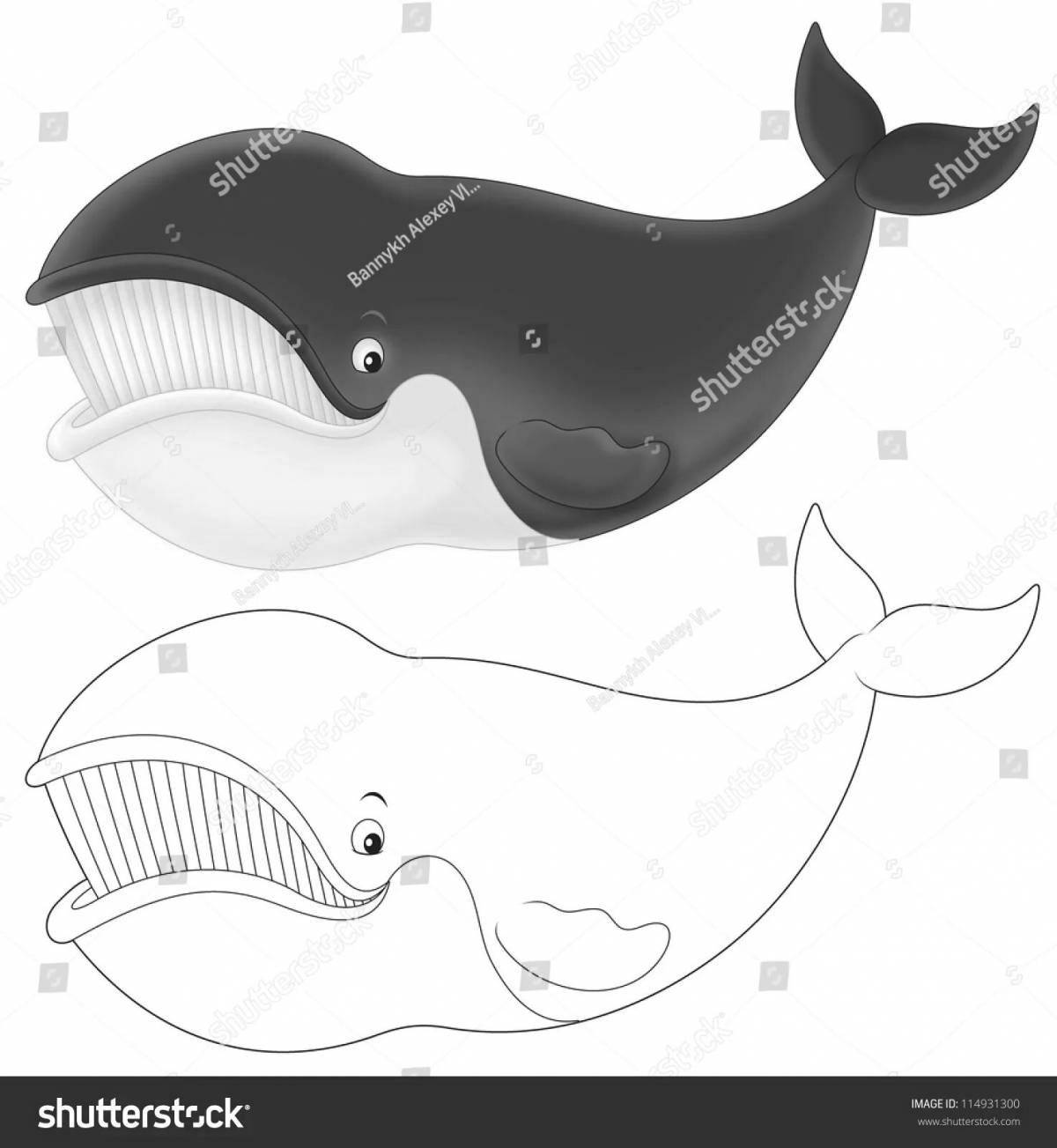 Colouring serene bowhead whale