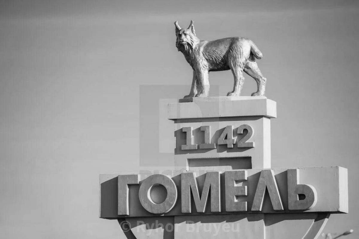 Bright coloring coat of arms of gomel