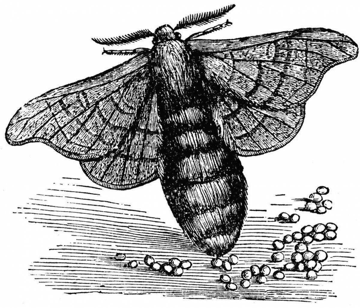 Bright coloring silkworm