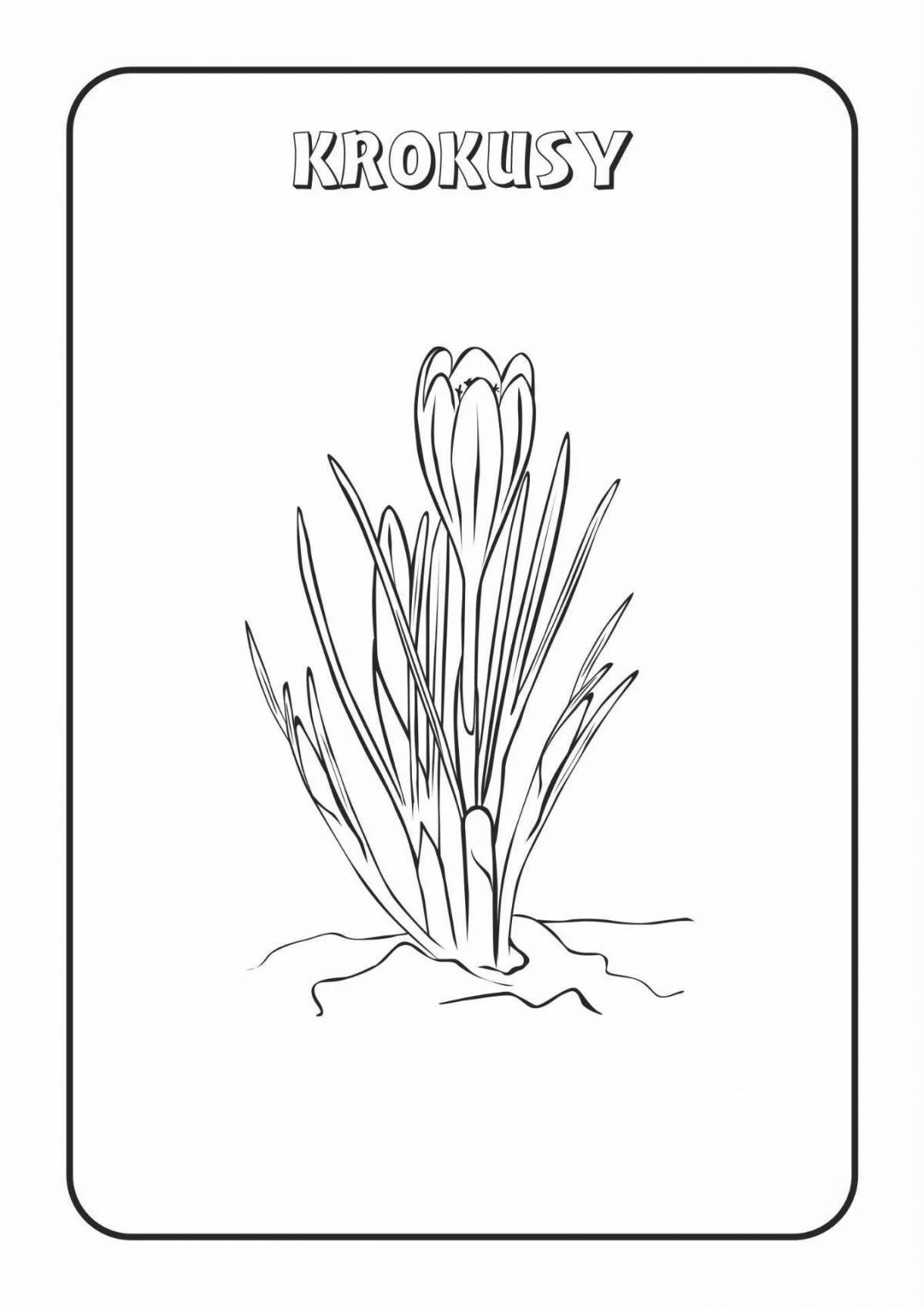 Glorious saffron coloring page
