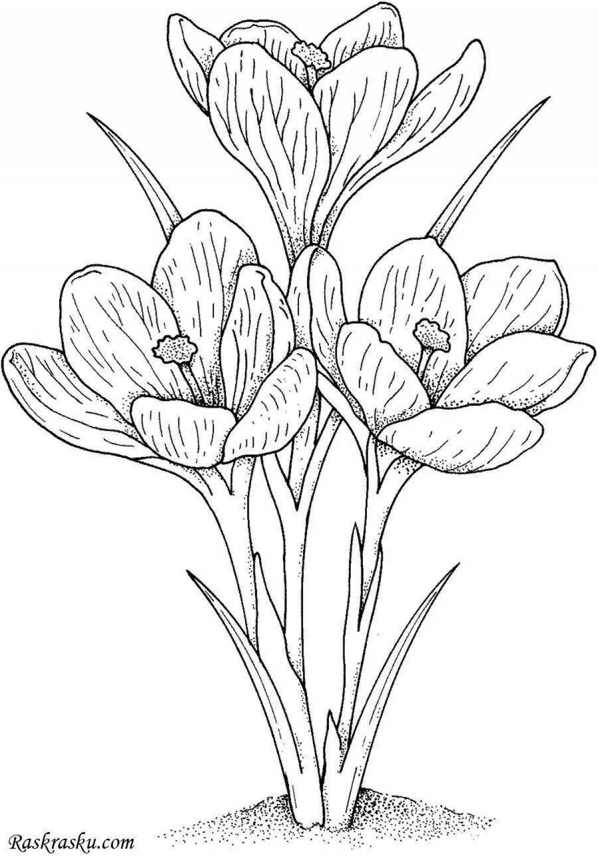 Coloring book cheerful saffron