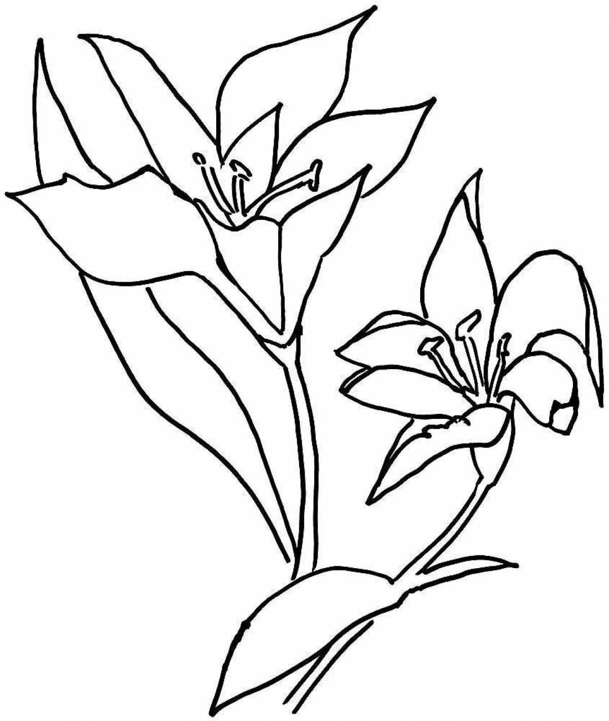 Refreshing saffron coloring book