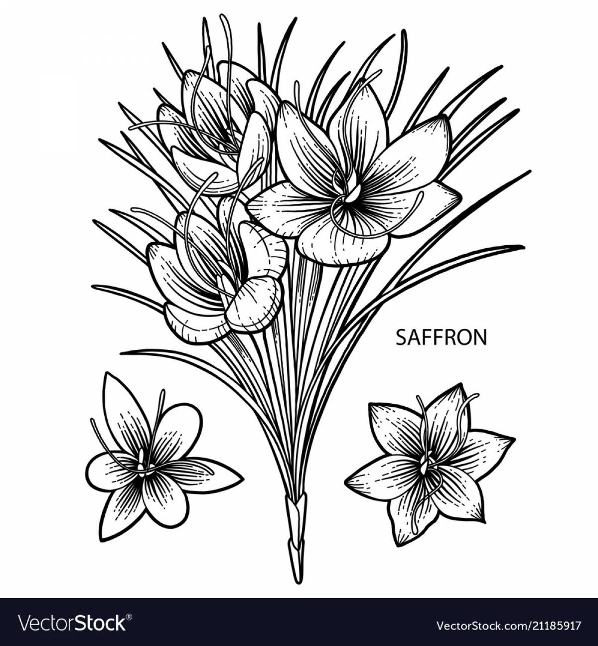 Saffron fine #5