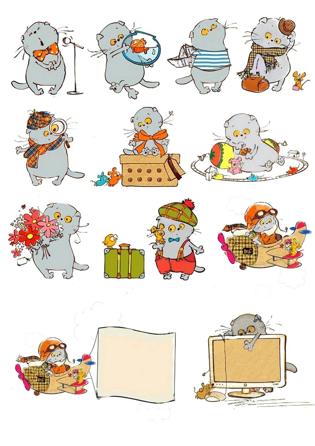 Animated bass coloring