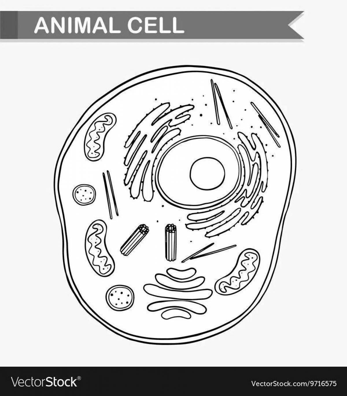 Detailed plant cell coloring page