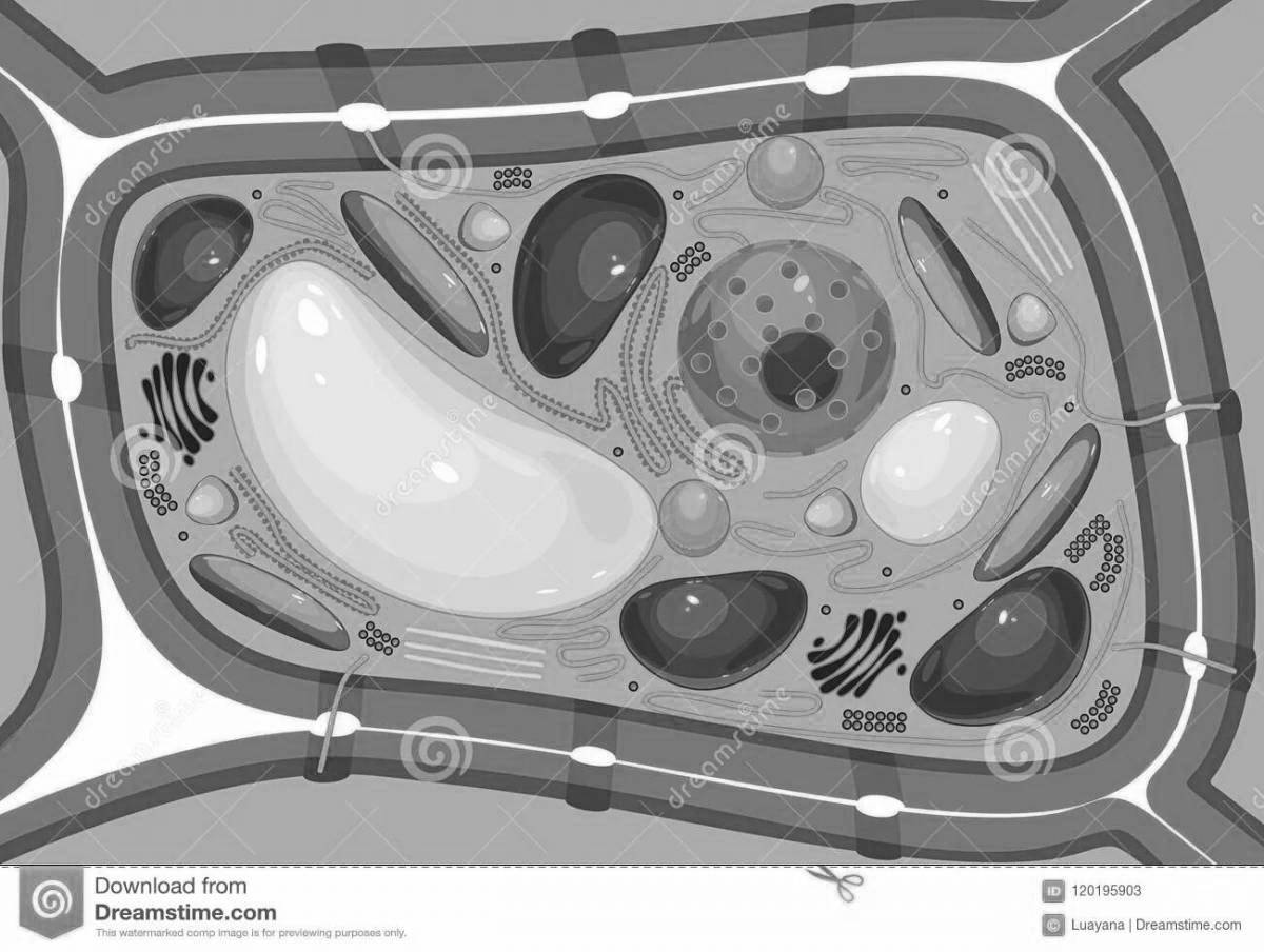 Intricate plant cell coloring page