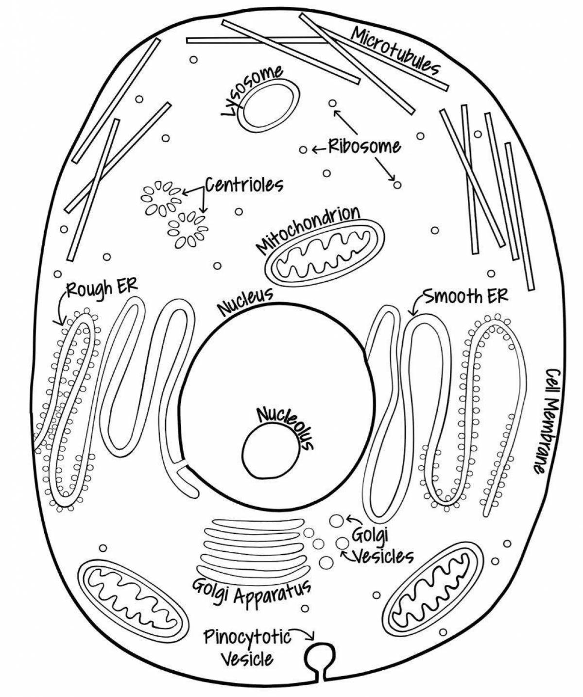 Adorable plant cell coloring page