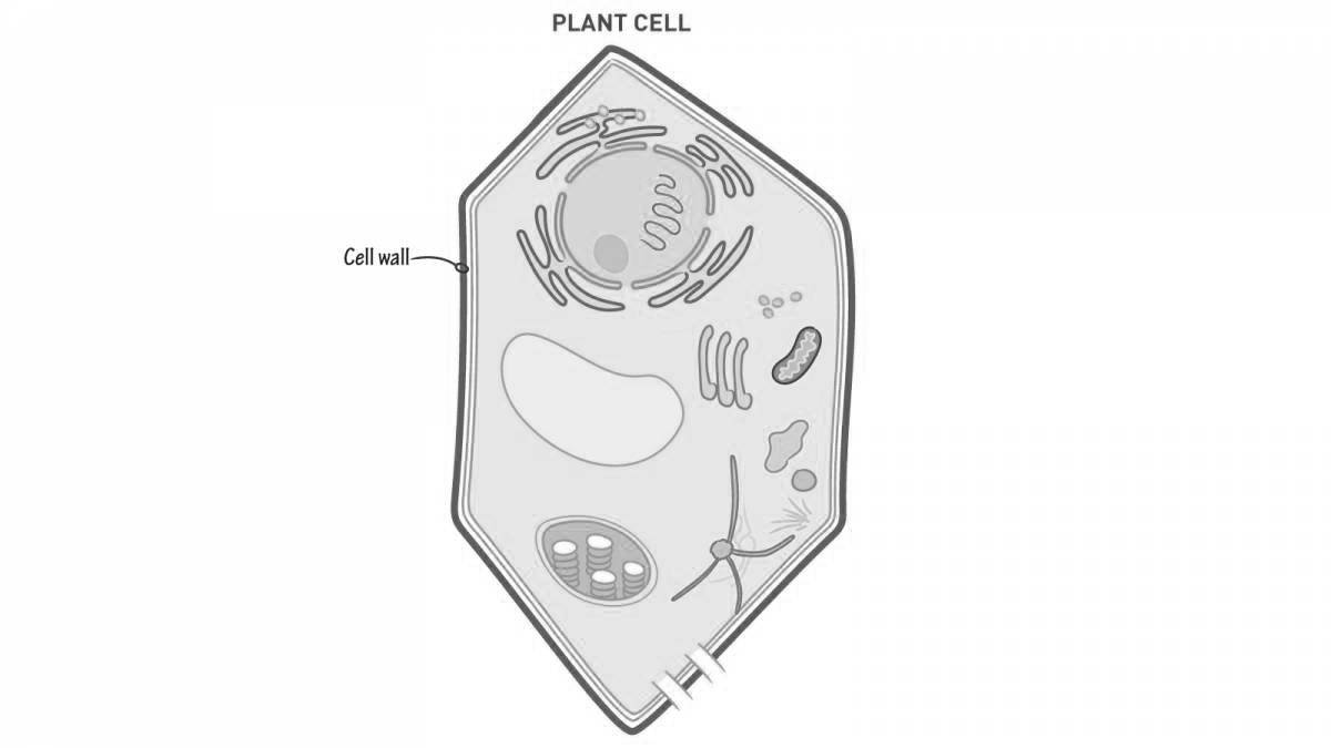 Coloring page of glowing plant cells
