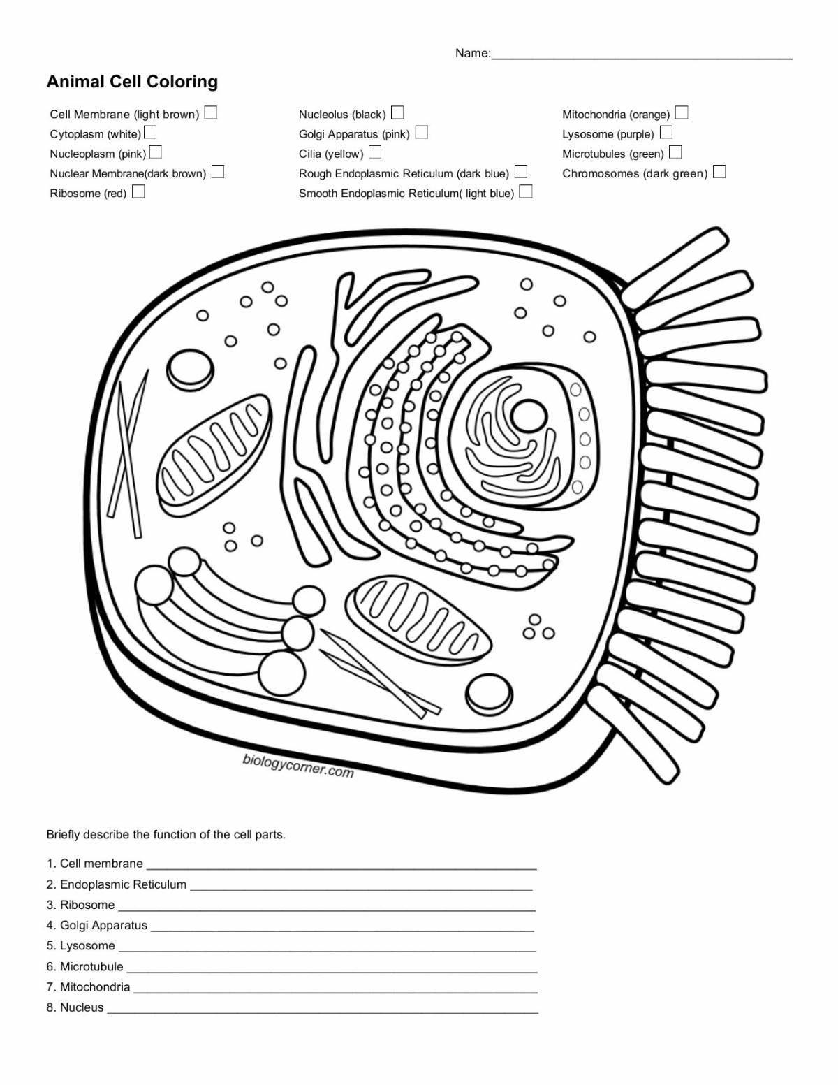 Amazing plant cell coloring page