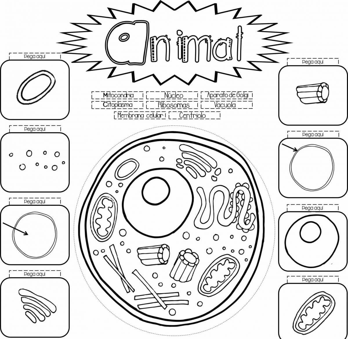 Humorous plant cell coloring page