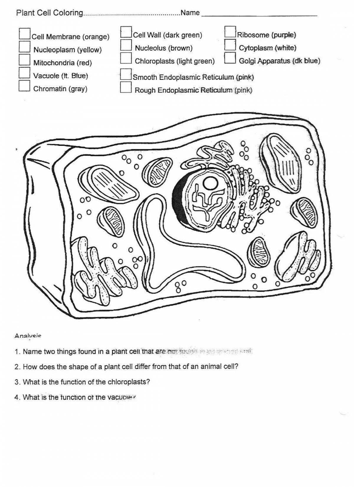 Animated plant cell coloring page