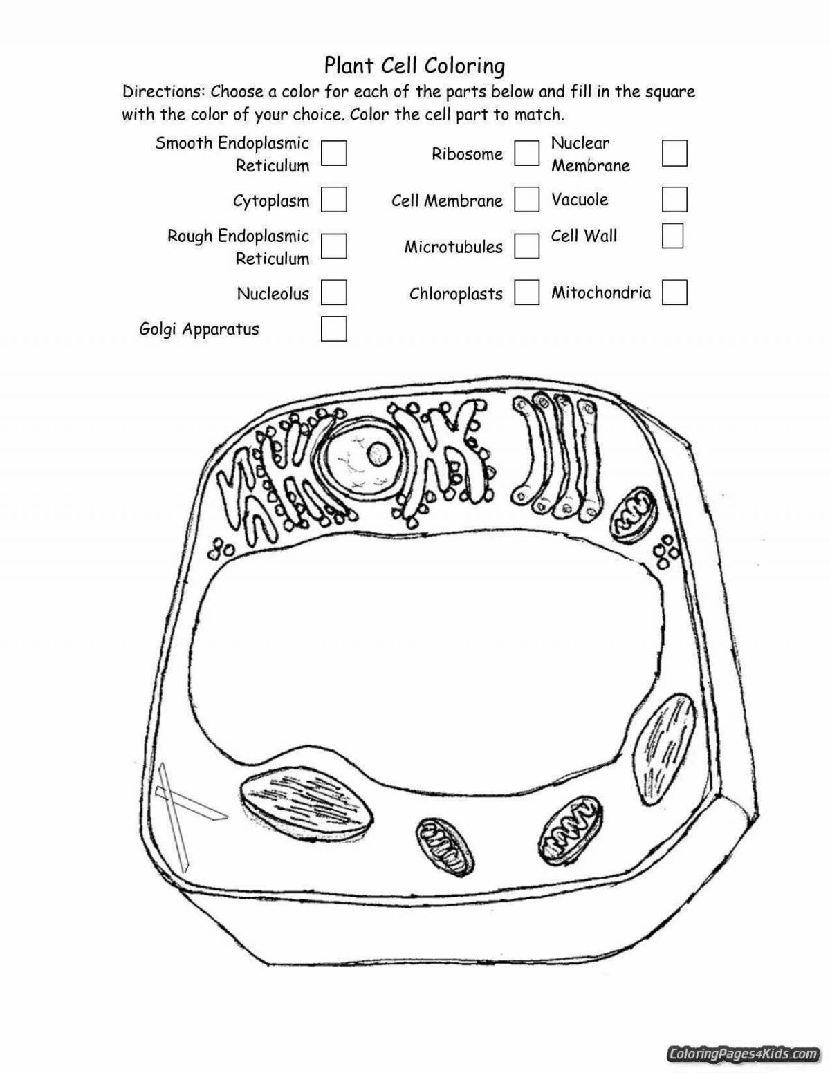 Coloring page cheerful plant cell