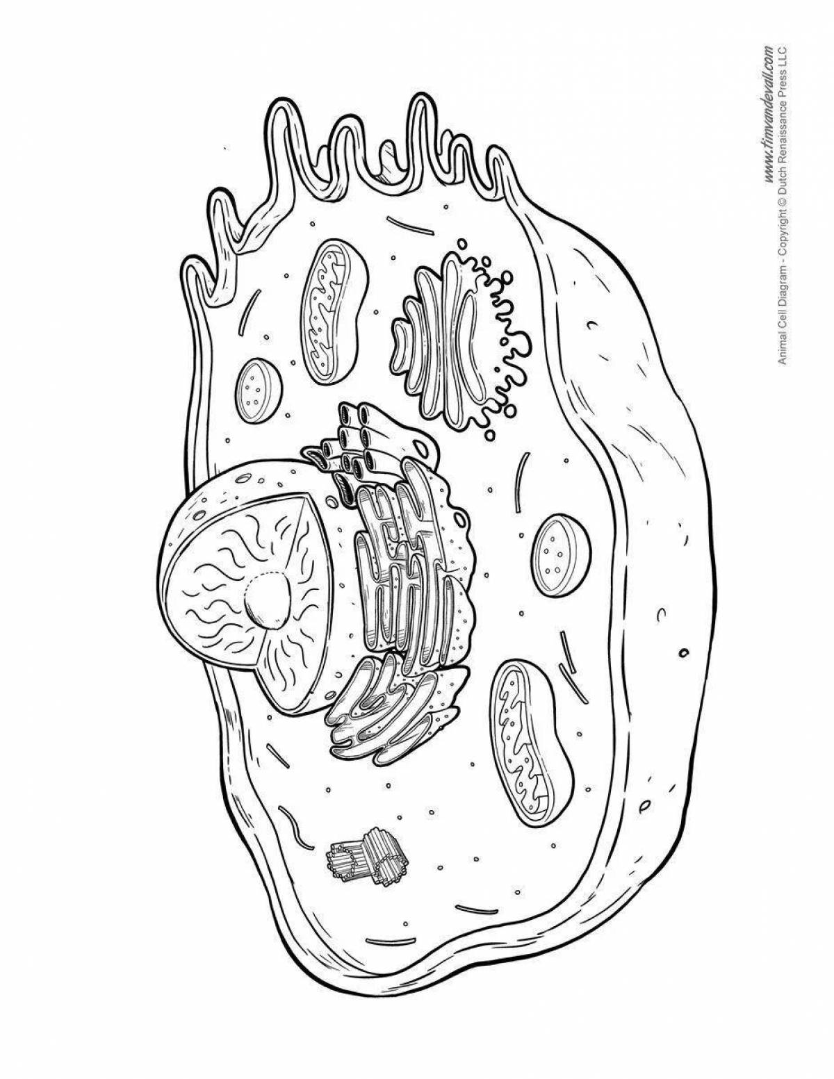 Joyful plant cell coloring page